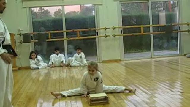 Тренировка по Тхэквондо́ смотреть онлайн