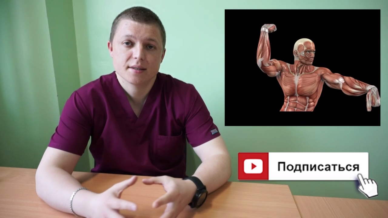 10 интересных фактов о мышцах смотреть онлайн