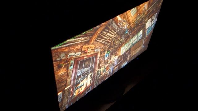 NEC EA274WMi - Screen Viewing Angles смотреть онлайн