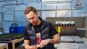 Все о выращивании лука | Богатый урожай каждый год #огород #семена #лук