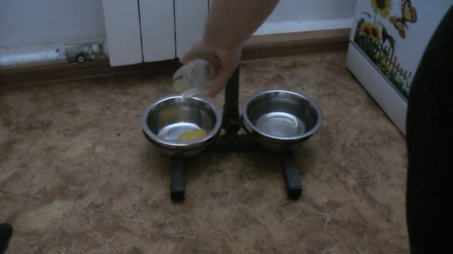 Страшная история о куриных яйцах купленных в О-кей смотреть онлайн