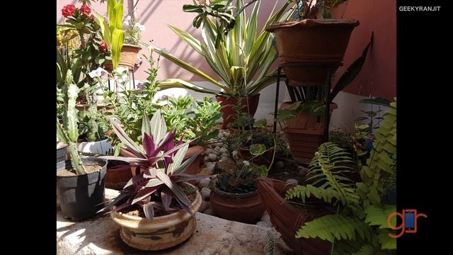 HDR Photos on Smartphones Explained with Samples смотреть онлайн