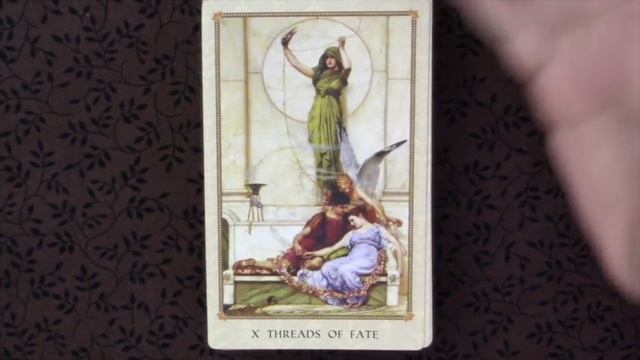 Deck Review: Tarot of Delphi смотреть онлайн
