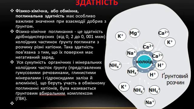 Агрохімія. Лекція 5.  Поглинальні властивості ґрунтів.