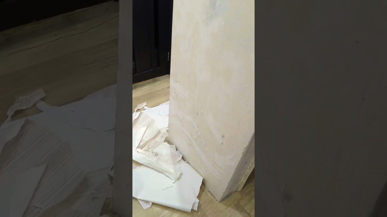 пушистый помощник #юмор #смешно смотреть онлайн