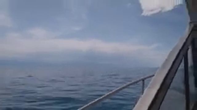Алаколь.Еду на остров. смотреть онлайн