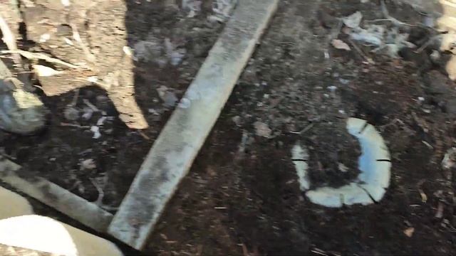 Открываем виноградные кусты после зимы. Рекомендации, советы. Сезон 2022.Апрель. смотреть онлайн
