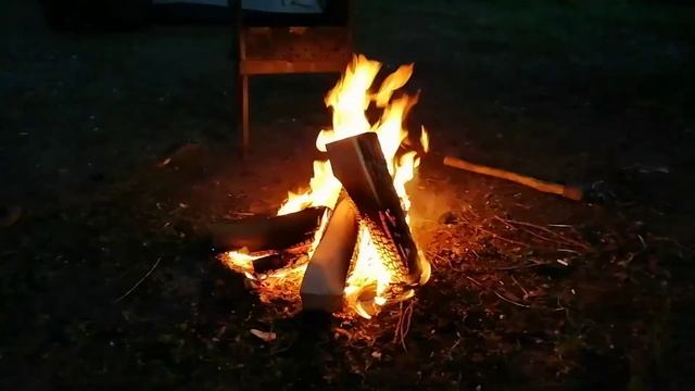 Поймали сазана! Рыбалка на реке Зай всей семьёй. 6 июня 2021 г. смотреть онлайн