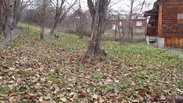 Святая женщина смотреть онлайн