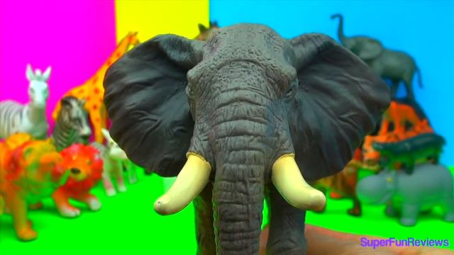 Happy Cute Zoo Animals - Lion Tiger Jaguar Hippo Elephant Zebra Giraffe Flamingo SFR Kids - FUN End