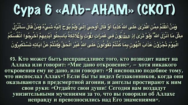 6.сура Аньом /мухаммад аль люхайдан смотреть онлайн