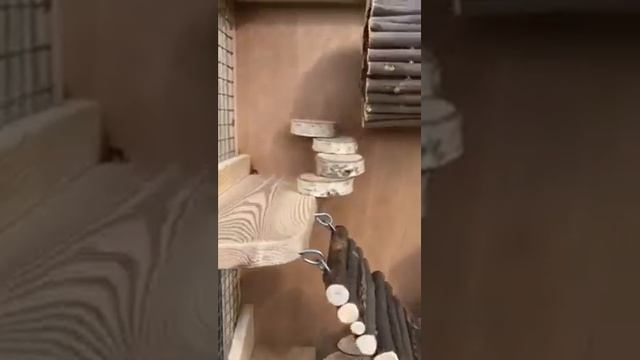 Клетка витрина для грызунов шиншилл, дегу белок смотреть онлайн