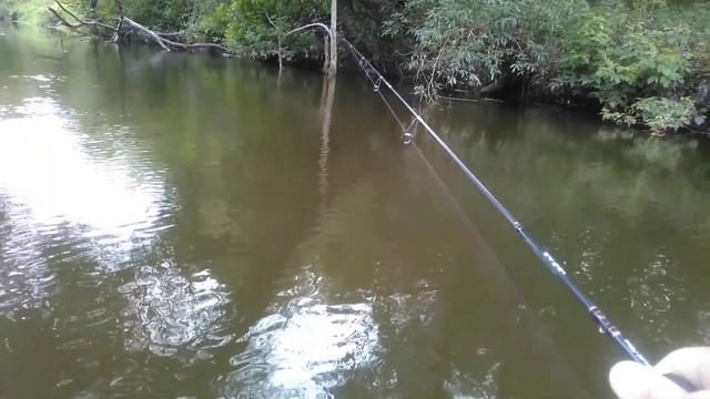 Хищная плотва. Поимка плотвы на УЛ вертушку №00. Ultralight spinning. смотреть онлайн