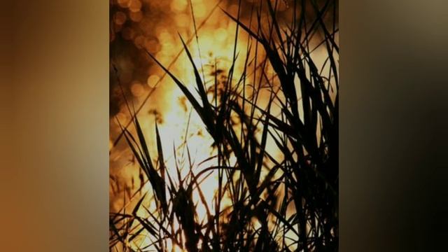 #1декабря - #приметы, #традиции, #заговоры в день Платона и Романа смотреть онлайн