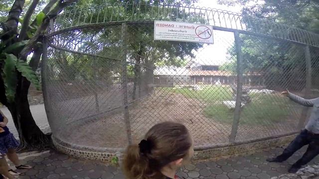 Таиланд - Крокодиловая ферма Выпуск#8 смотреть онлайн