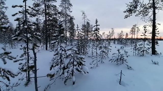 Хороший денёк минус 15!!!! смотреть онлайн