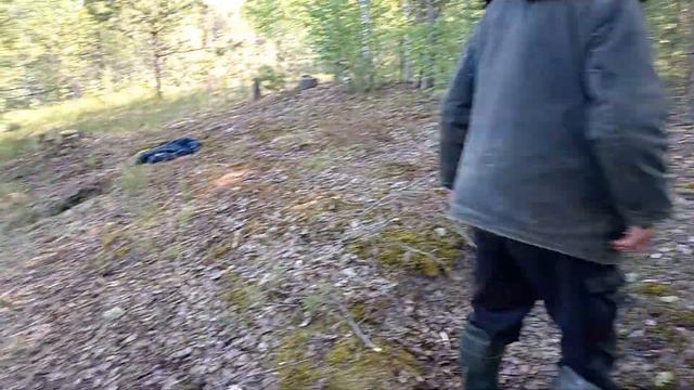 Озеро Кщара. Первые щуки на жерлицы с берега. Серия 2. смотреть онлайн