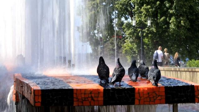 Самара от "Шанхая" до заката 4К смотреть онлайн