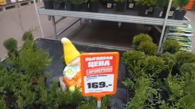 ОБИ OBI Новинки! Распродажа цветов! Для ДАЧИ Акции смотреть онлайн