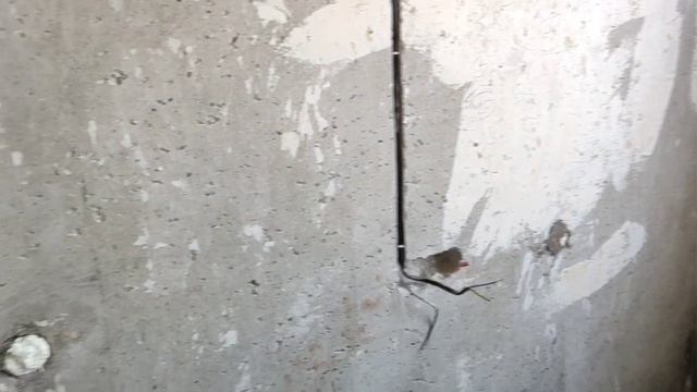 Подходит к завершению электромонтаж в трешке. смотреть онлайн