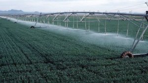 §27 "Почва", География 6 класс, Домогацких