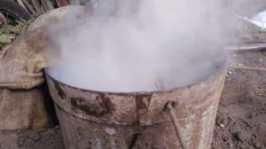 карп холодного копчения