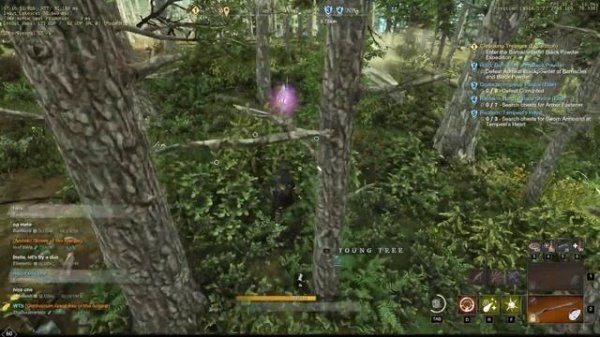 New World 25-08-2022 - Mining/Logging/Harvesting Bot: efgsdfg (Nysa)