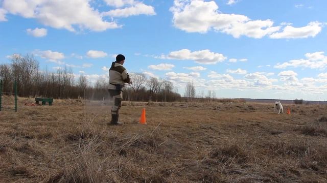Южнорусская овчарка смотреть онлайн