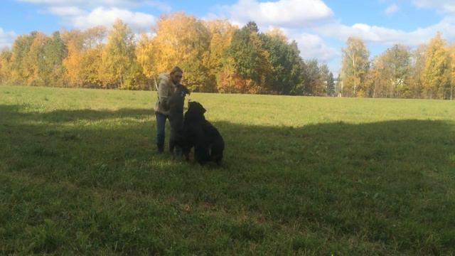 Жора, Бруша и Варя видео 02,10,14 010 смотреть онлайн