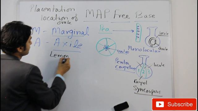 MEMORIZE IN 15 MINUTES (Placentation in Flowers) (NEET/NCERT Biology). смотреть онлайн