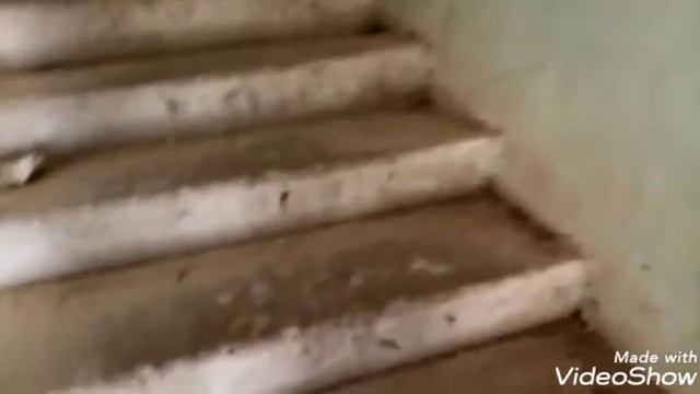 Мы вернулись на фосфор ник!!! За нами кто-то ходит??? смотреть онлайн