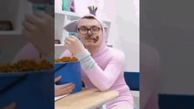 свинка пеппа