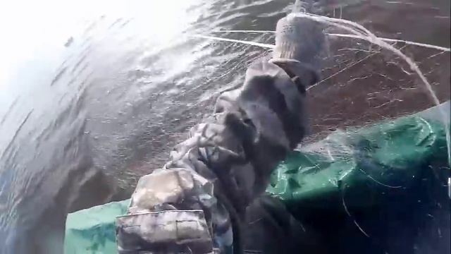 Рыбалка, сплавными сетями на Амуре смотреть онлайн