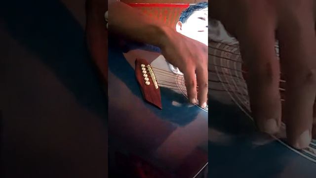 Washburn wa90c blb смотреть онлайн