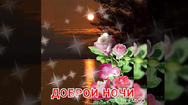Доброй ночи ~сладких снов!