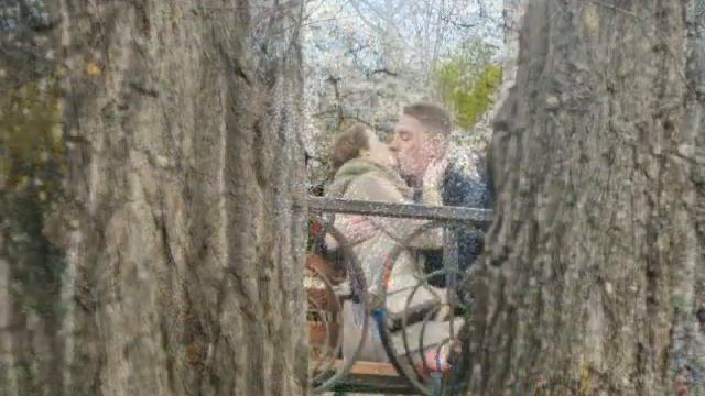 Київський Сад Магнолій єдиний у світі. Ботанічний сад ім. Фоміна. Kyiv Botanical Garden - YouTube смотреть онлайн
