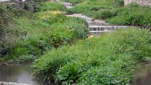 Ялта.Жизнь Ялтинских речек.Быстрая.1 смотреть онлайн