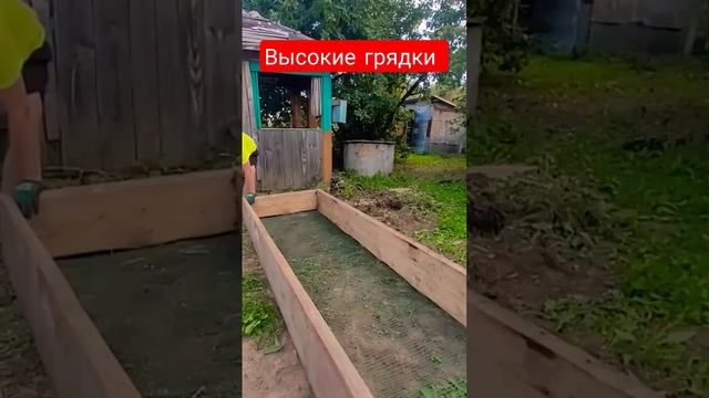 Как защитить высокие грядки от кротов? #дача #огород #грядки #крот смотреть онлайн
