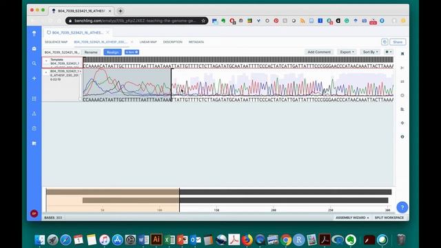 Sequence Analysis Protocol - Assess Sequence Quality - Benchling Netbook