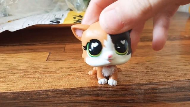 Lps: Распаковка пета! смотреть онлайн