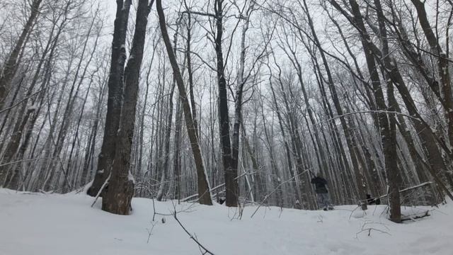охота на куницу.обычный январский день... смотреть онлайн