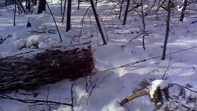 самодельная лебедка смотреть онлайн