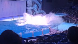 Москвариум ВДНХ Вода шоу