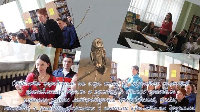 Экологический час "Открой для себя удивительный мир птиц" смотреть онлайн