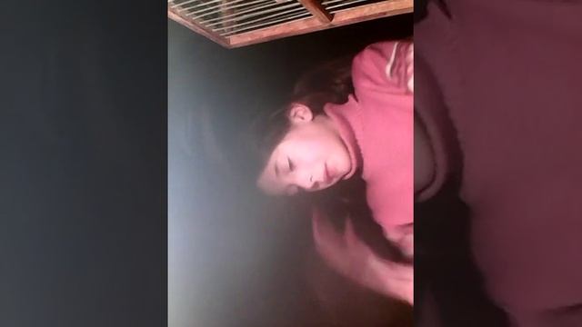 Короче говоря что нужно для хомяка и у меня появился джунгарик смотреть онлайн