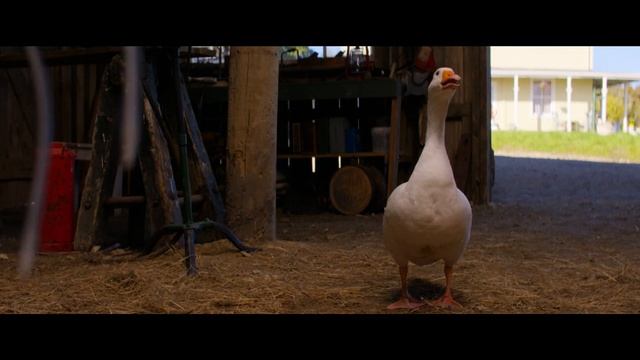 Pearl - Official Trailer смотреть онлайн