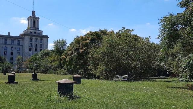Drona - quadcopter - Zubo HD Evolio смотреть онлайн