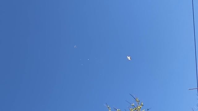 Helicopter crash in Rowlett captured on cellphone video смотреть онлайн