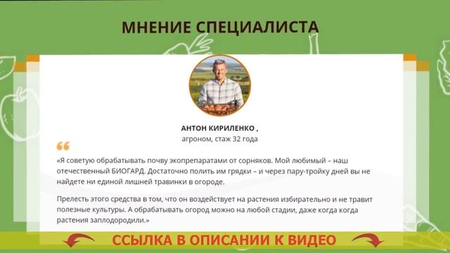❕ БИОГАРД ОТ СОРНЯКОВ ЦЕНА ОТЗЫВЫ ГДЕ КУПИТЬ ? КАКИМ ГЕРБИЦИДОМ МОЖНО ОБРАБОТАТЬ КАРТОФЕЛЬ ПОСЛЕ В смотреть онлайн