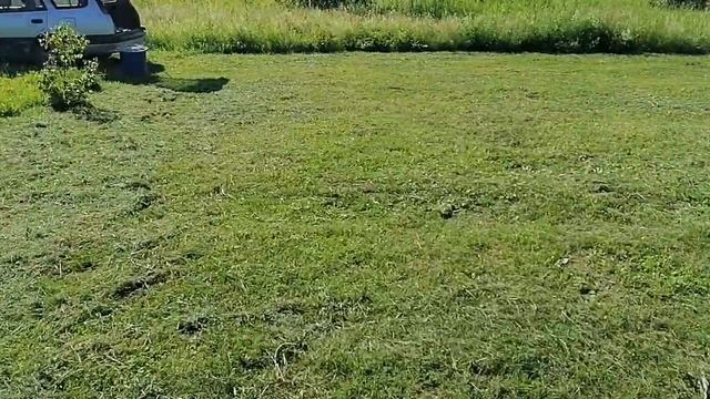 Триммер HUTER GGT-15004Т. Первый опыт работы. Отзыв.